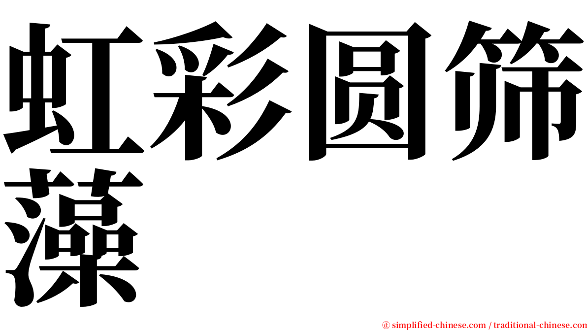 虹彩圆筛藻 serif font