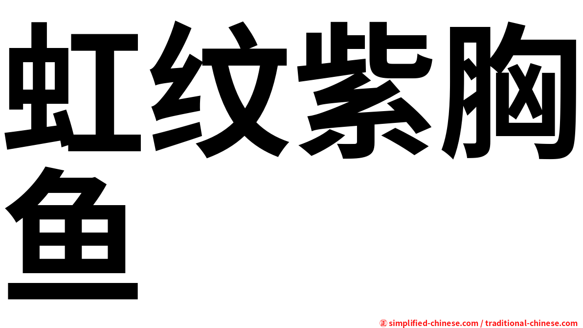 虹纹紫胸鱼