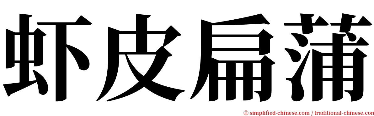 虾皮扁蒲 serif font