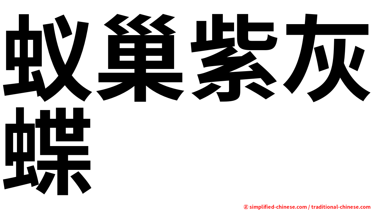 蚁巢紫灰蝶