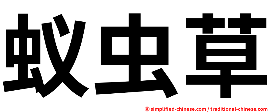 蚁虫草