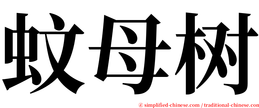蚊母树 serif font