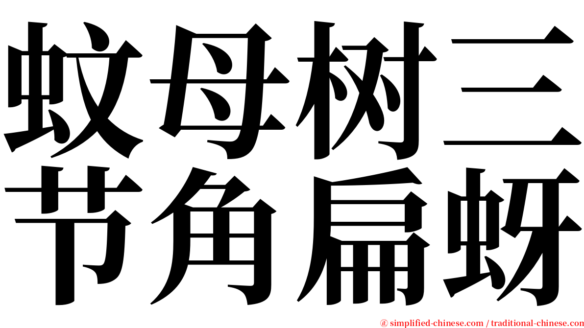 蚊母树三节角扁蚜 serif font