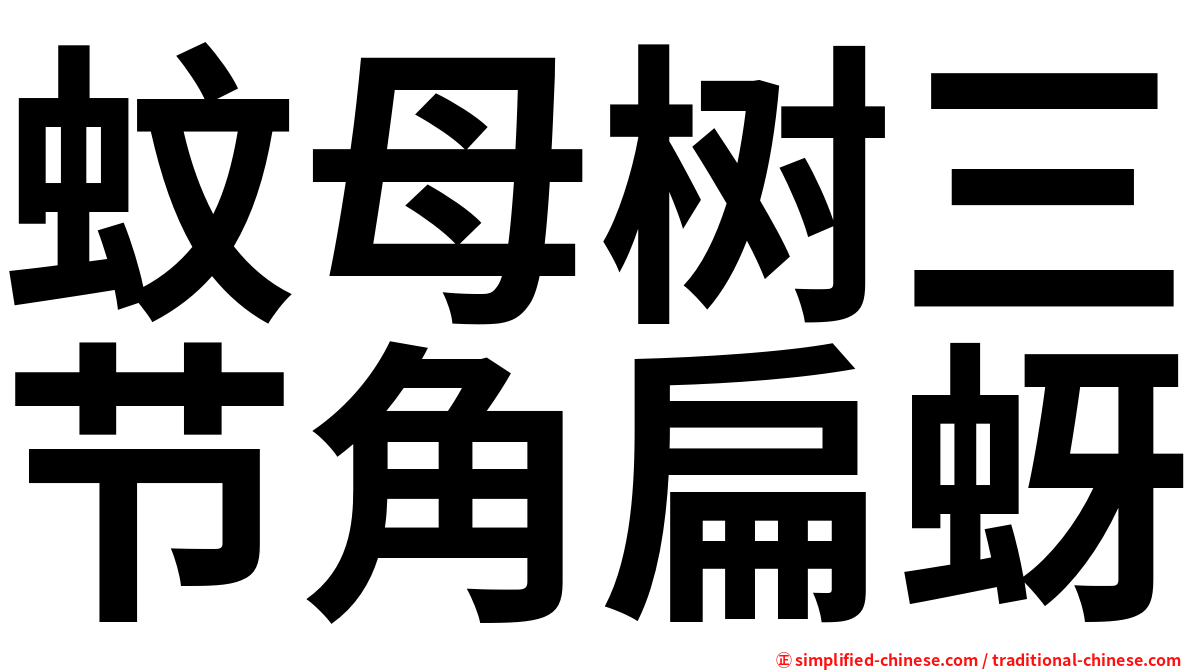 蚊母树三节角扁蚜