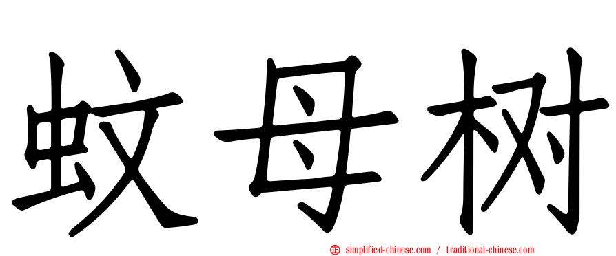 蚊母树