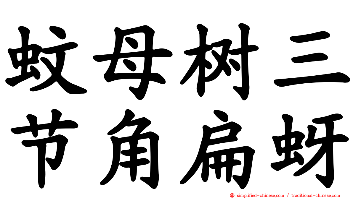 蚊母树三节角扁蚜