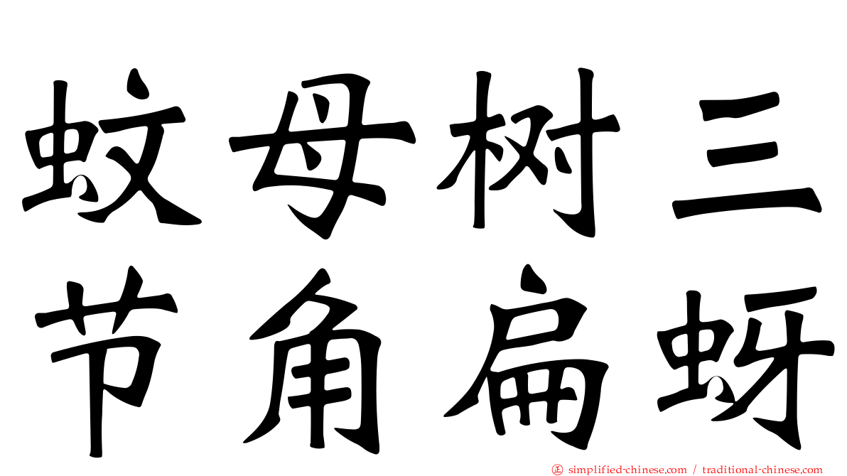蚊母树三节角扁蚜