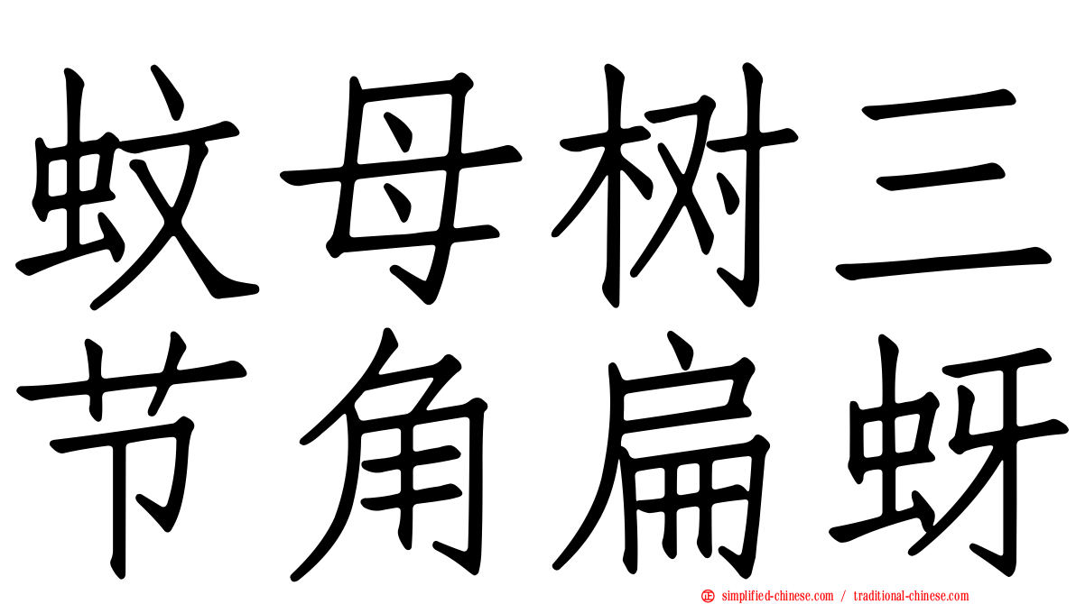 蚊母树三节角扁蚜