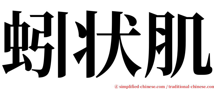 蚓状肌 serif font
