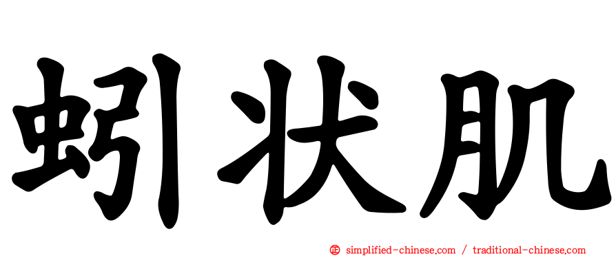 蚓状肌