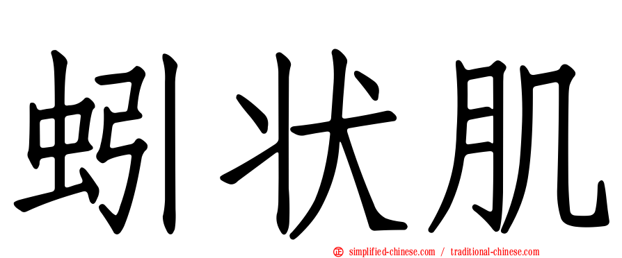 蚓状肌