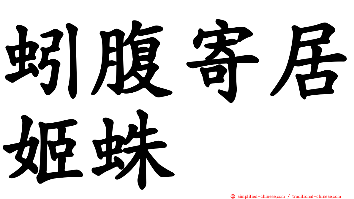 蚓腹寄居姬蛛
