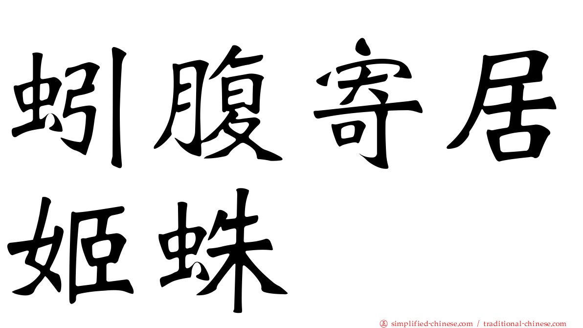 蚓腹寄居姬蛛