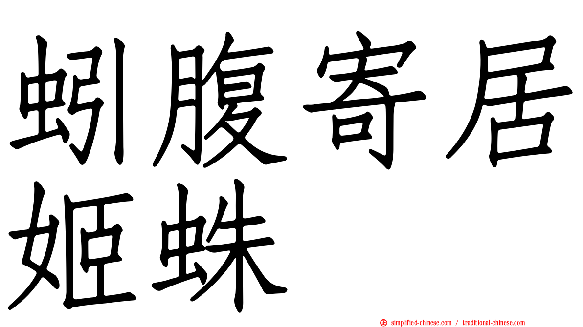 蚓腹寄居姬蛛