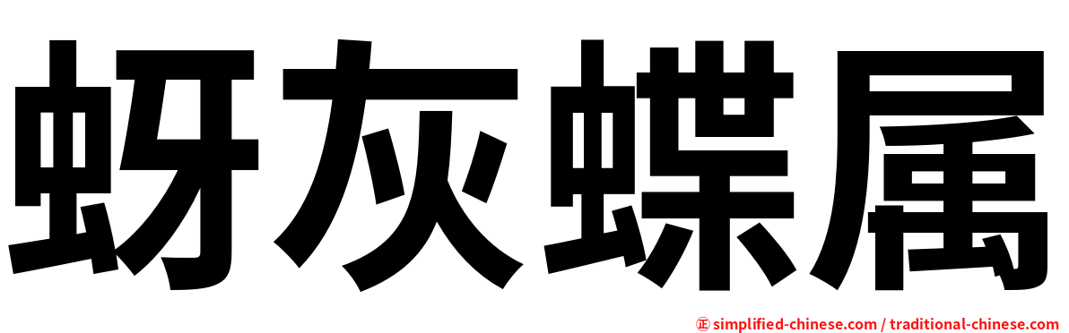 蚜灰蝶属