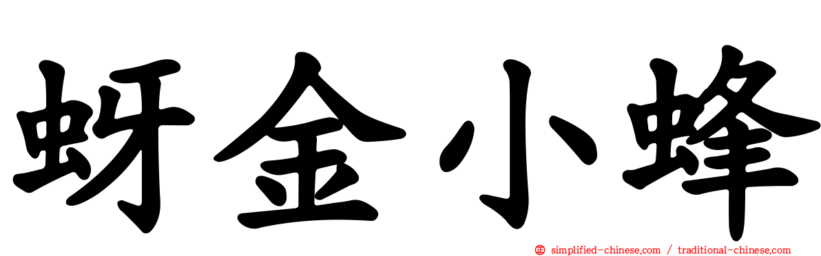 蚜金小蜂