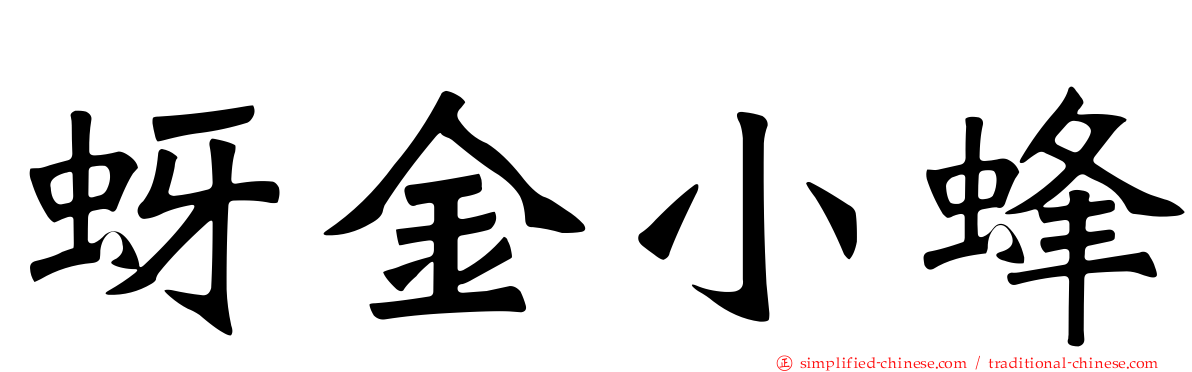 蚜金小蜂