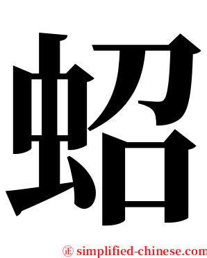 蛁 serif font