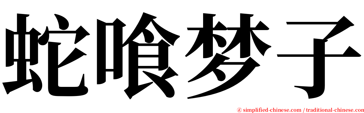 蛇喰梦子 serif font