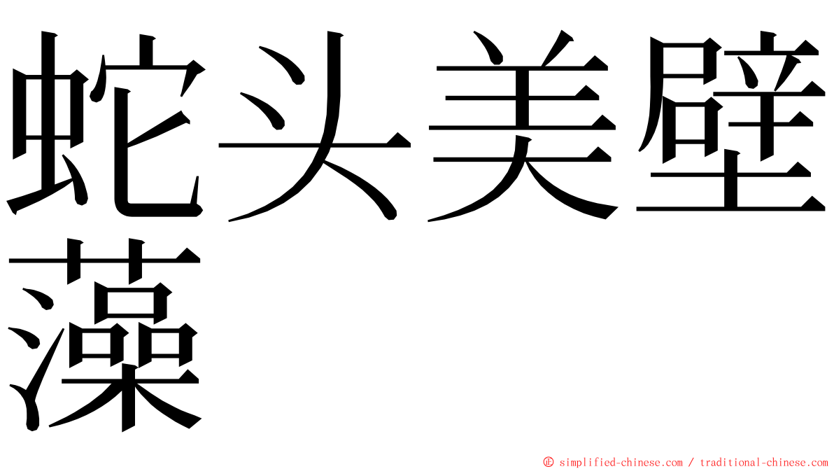 蛇头美壁藻 ming font