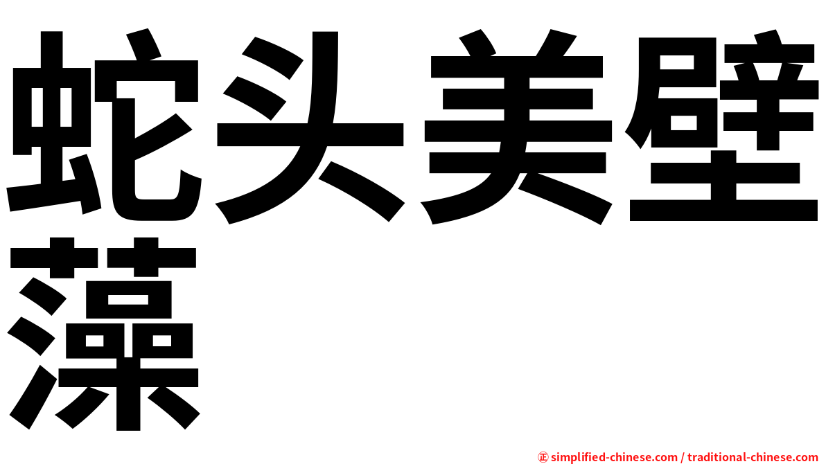 蛇头美壁藻