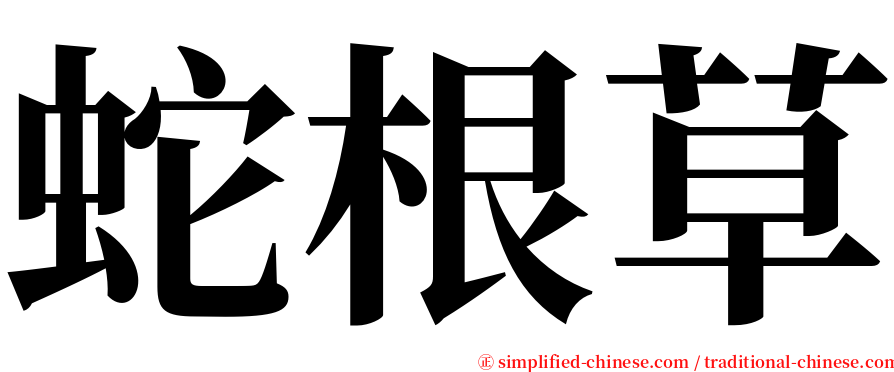 蛇根草 serif font