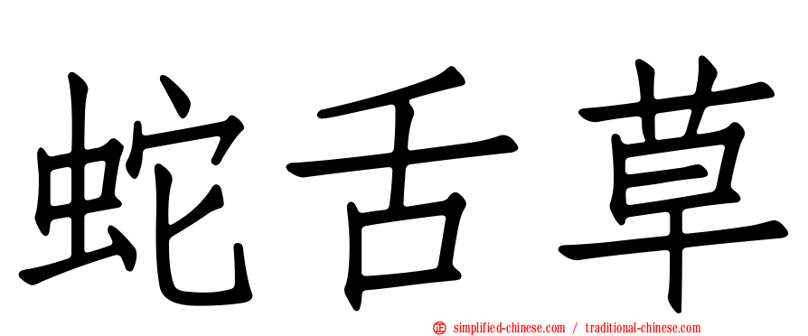 蛇舌草