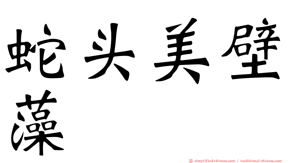 蛇头美壁藻