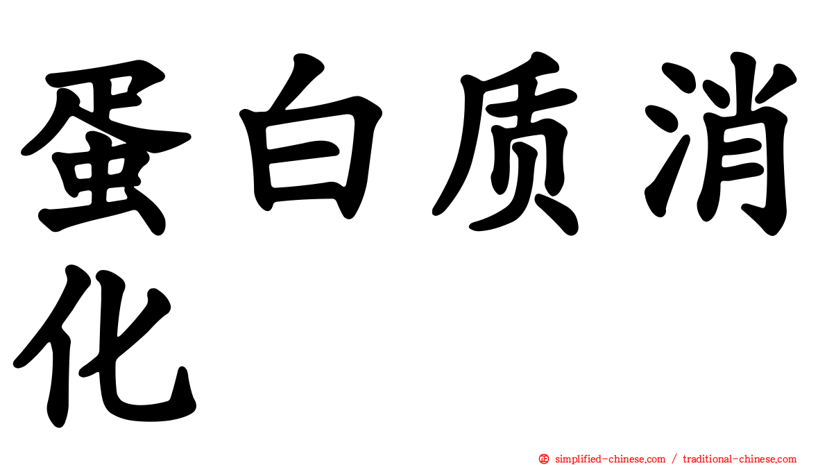 蛋白质消化