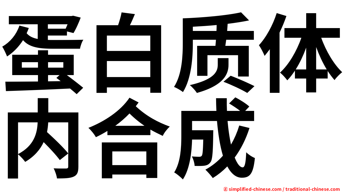 蛋白质体内合成