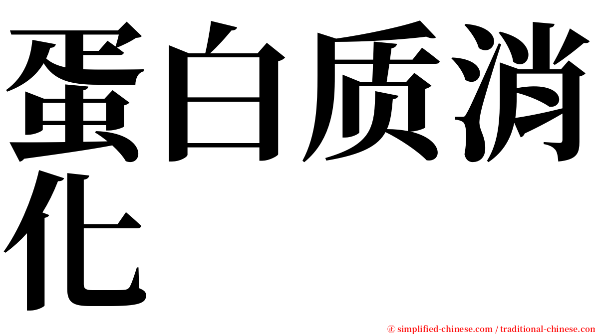 蛋白质消化 serif font