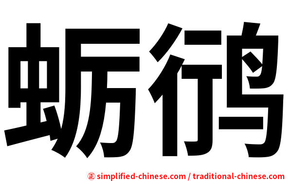蛎鸻