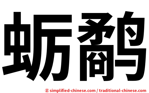 蛎鹬