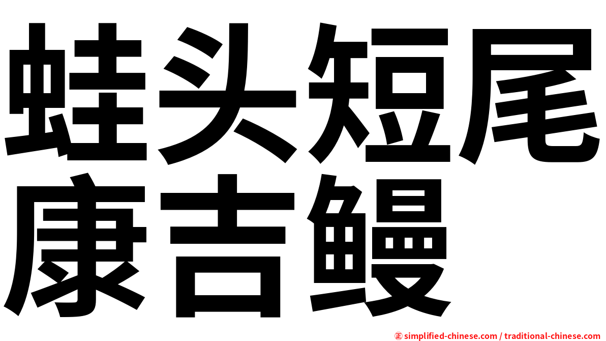 蛙头短尾康吉鳗