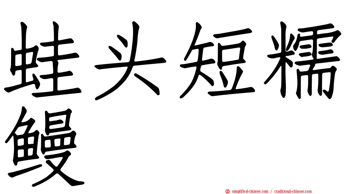 蛙头短糯鳗