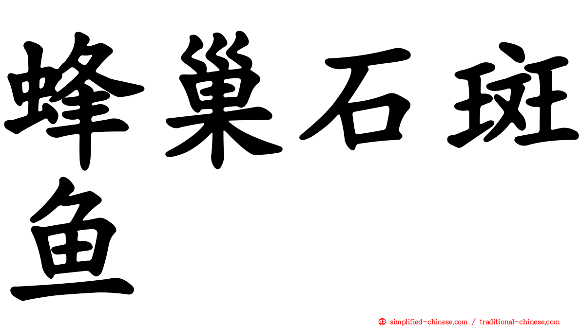 蜂巢石斑鱼