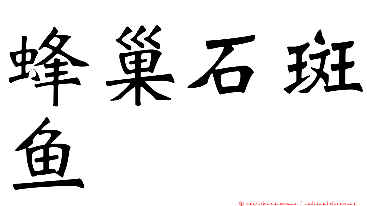 蜂巢石斑鱼