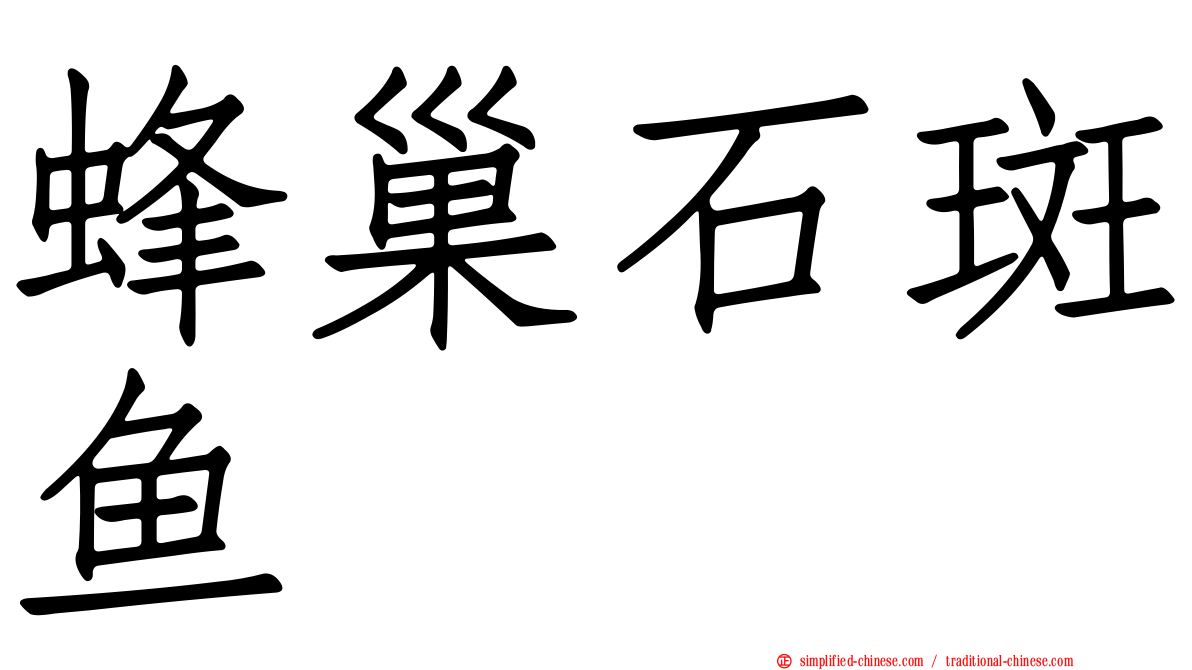 蜂巢石斑鱼
