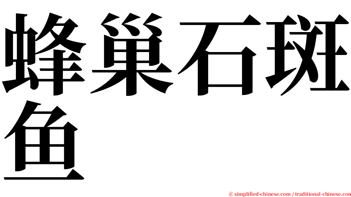 蜂巢石斑鱼 serif font