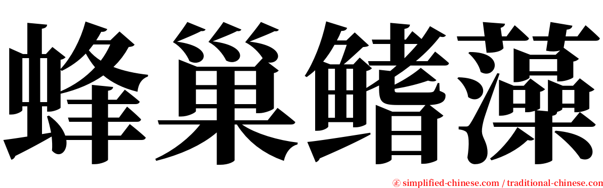 蜂巢鳍藻 serif font