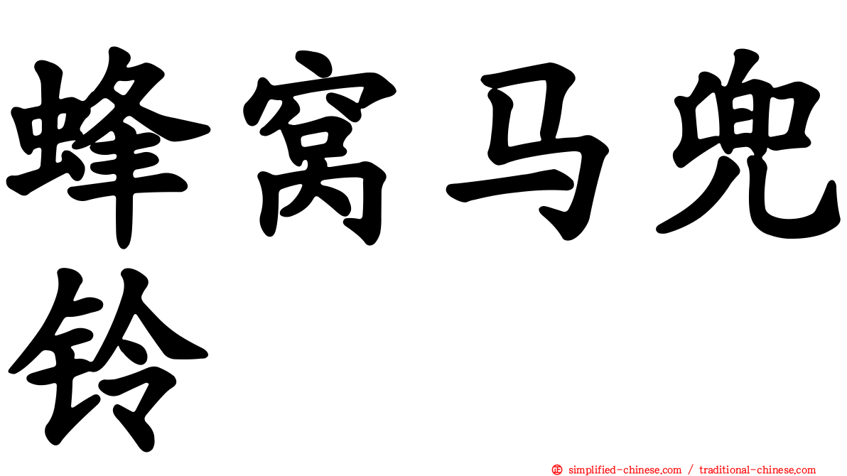蜂窝马兜铃