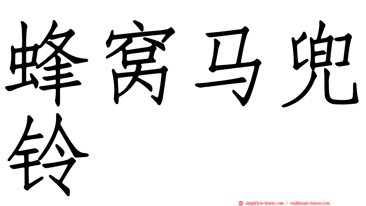 蜂窝马兜铃