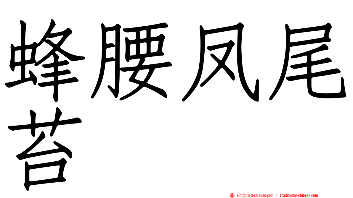 蜂腰凤尾苔