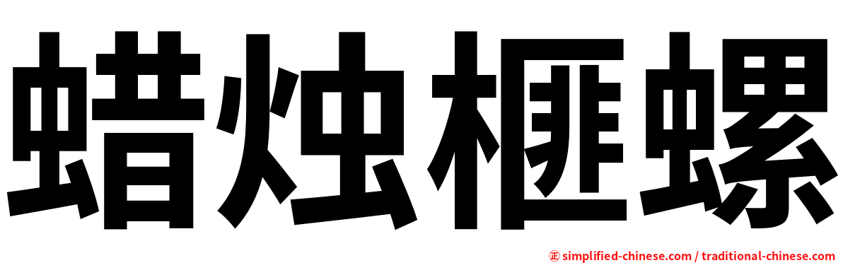 蜡烛榧螺