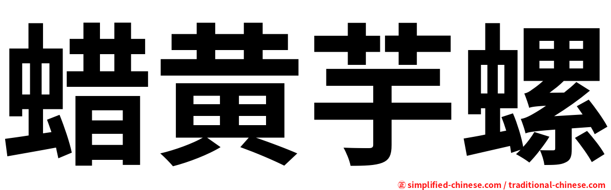 蜡黄芋螺