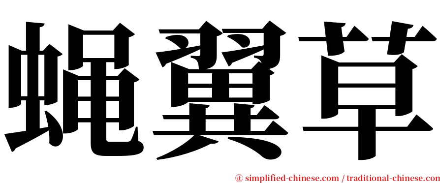 蝇翼草 serif font