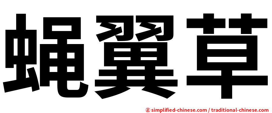 蝇翼草