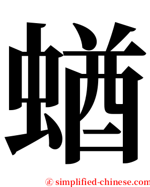 蝤 serif font