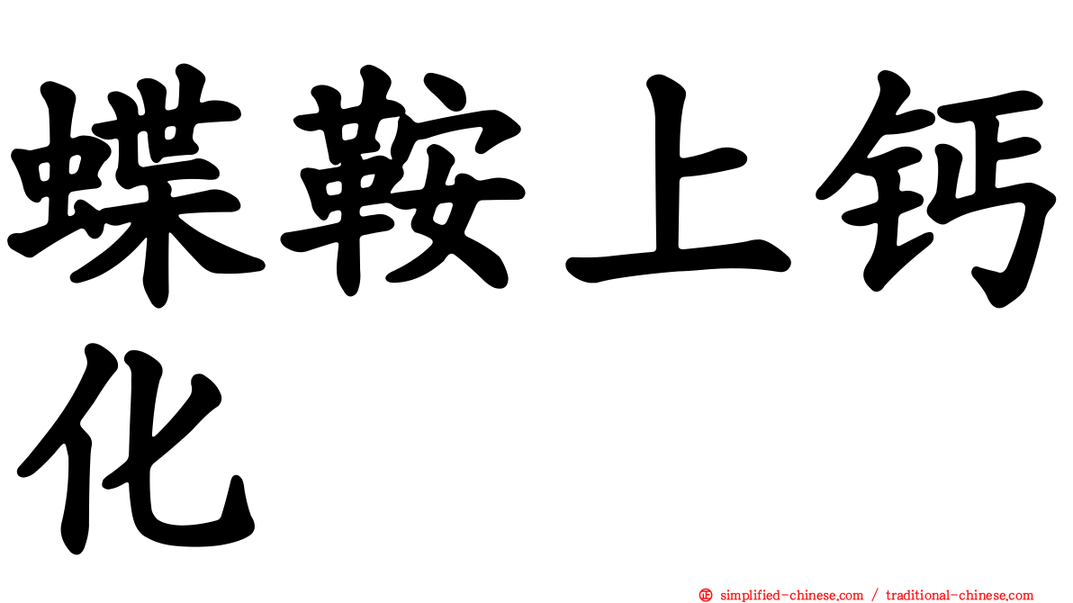 蝶鞍上钙化