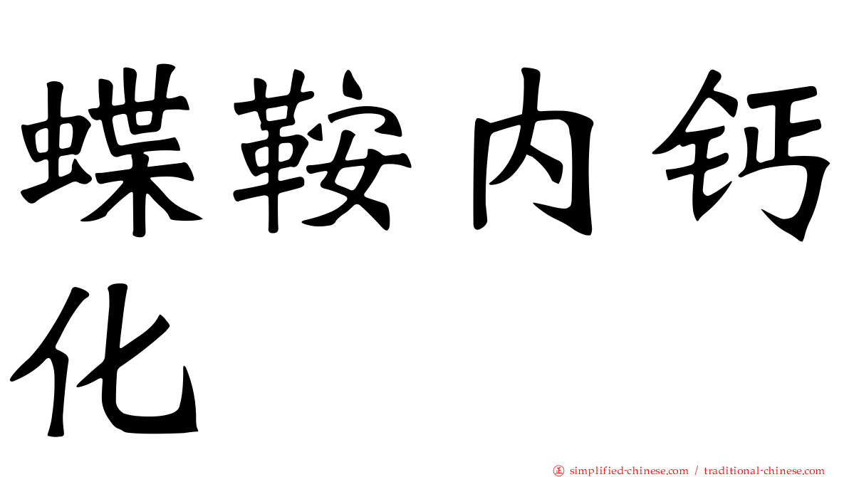 蝶鞍内钙化
